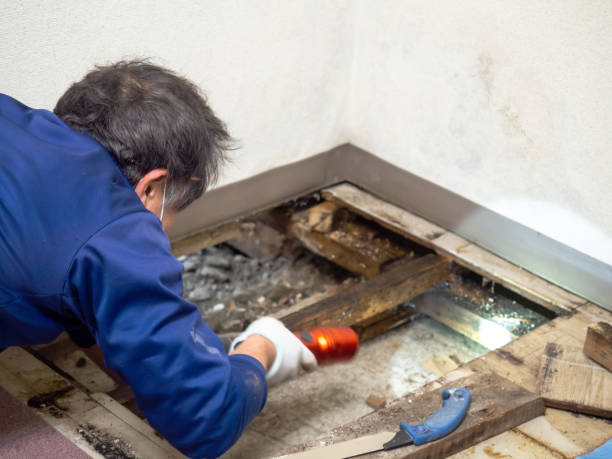 Crawl Space Mold Removal in Powell, OH