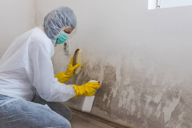 Best Mold Testing  in Powell, OH