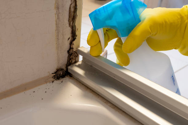 Best Crawl Space Mold Removal  in Powell, OH