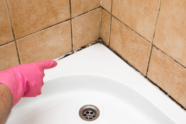 Best Office Mold Removal Services  in Powell, OH